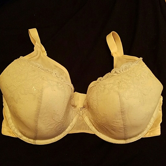 36dd lace bra