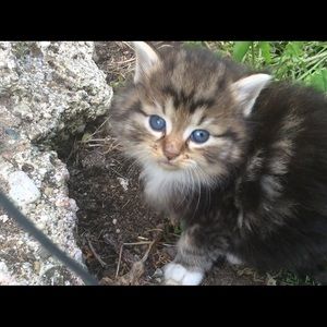 Meet your Posher, Mark