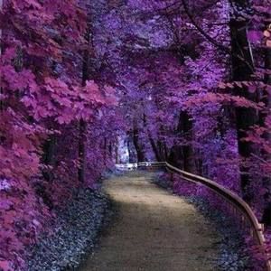 Meet your Posher, Leann