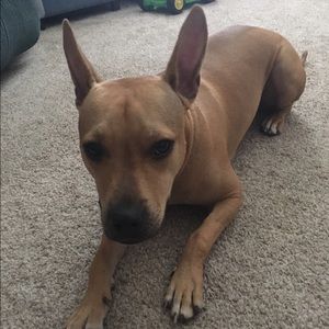 Meet your Posher, Danielle