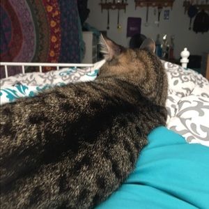 Meet your Posher, Haley