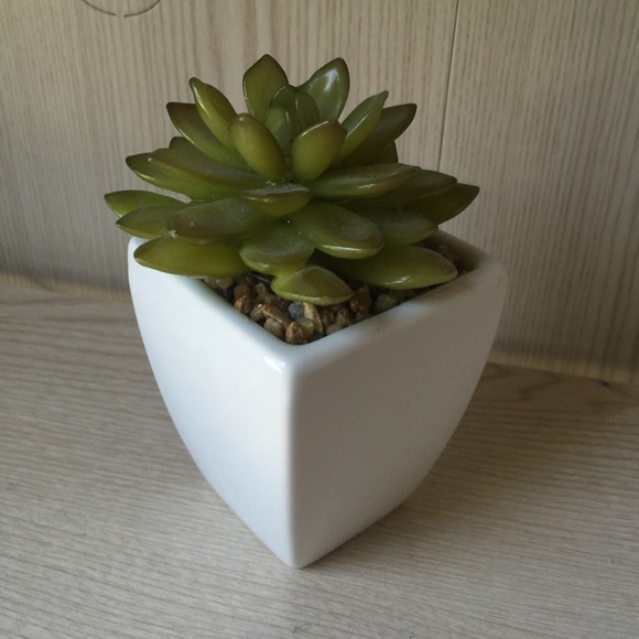 Fake succulent plant - Picture 3 of 3