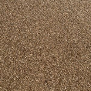 Meet your Posher, Cinndy