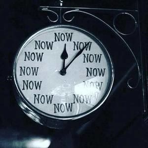 Meet your Posher, Alvina roy