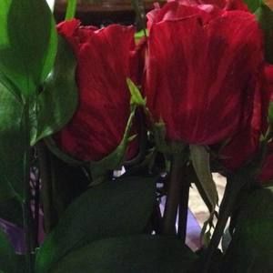 Meet your Posher, Flower