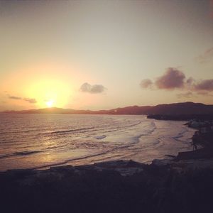 Meet your Posher, Britni