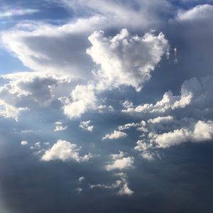 Meet your Posher, Lynsee