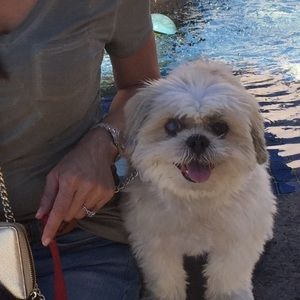 Meet your Posher, John