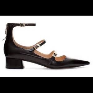 Zara Pointed Leather Ballerina Shoes