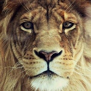 Meet your Posher, Araceli