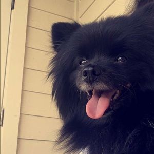 Meet your Posher, Lea