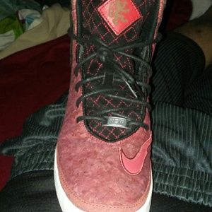 Nike Lebron Corks