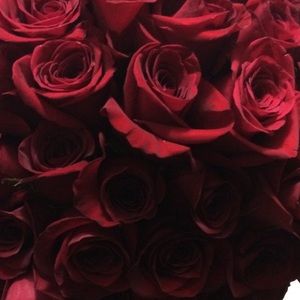 Meet your Posher, Carmen