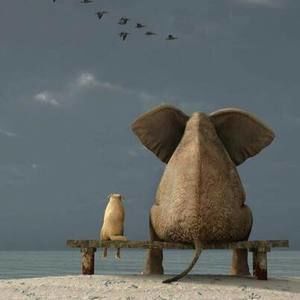 Meet your Posher, Elena