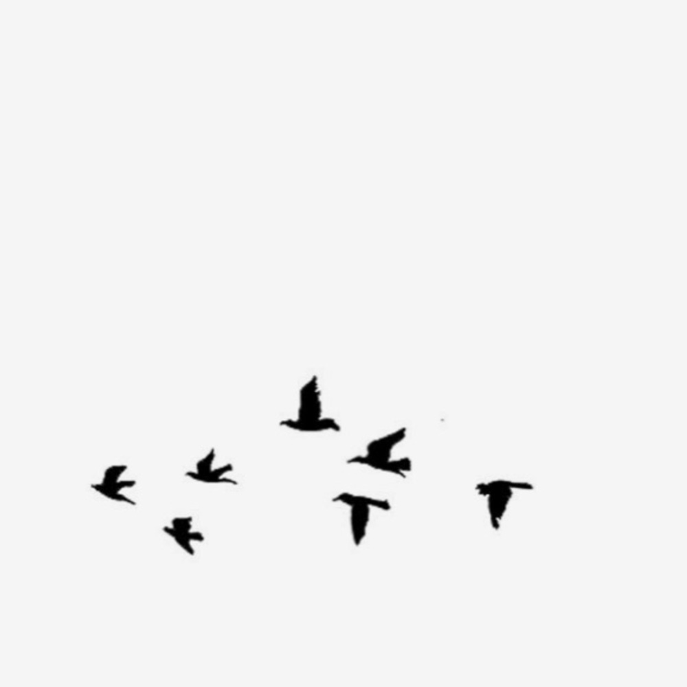 〰〰〰〰〰〰〰〰〰〰〰〰〰〰〰〰〰〰〰〰〰〰〰〰〰