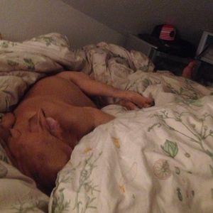 Meet your Posher, Molly