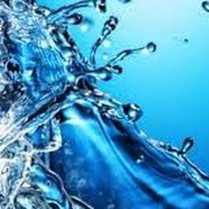 Meet your Posher, Lillian