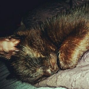 Meet your Posher, Shanda