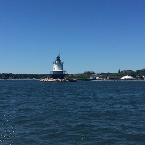 Meet your Posher, Shelly