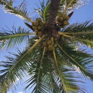 Meet your Posher, Deanna