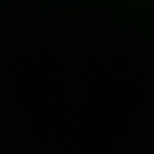 Meet your Posher, Janey