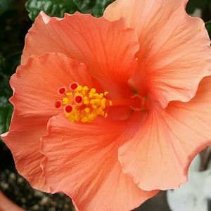 Meet your Posher, Monika