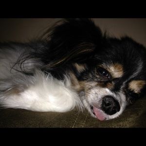 Meet your Posher, Samantha