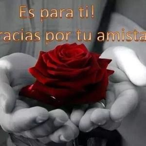 Meet your Posher, Claudia