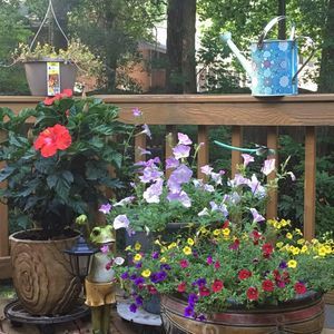 Meet your Posher, Paula