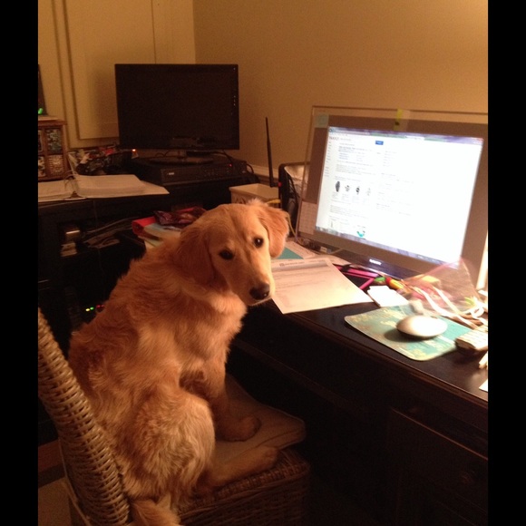 Meet your Posher, Aubrey - Picture 4 of 8