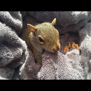 Meet your Posher, Michelle