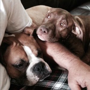 Meet your Posher, Beth