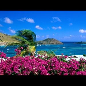 Meet your Posher, Janice