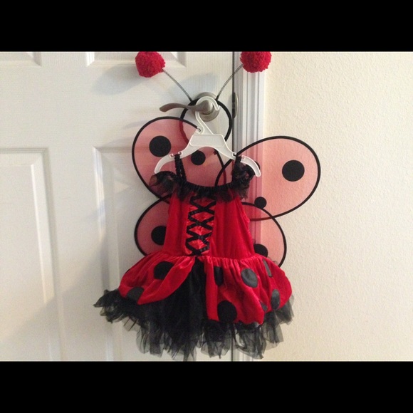 Lady Bug, Halloween Costume 12 months -2T.