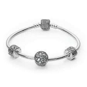 Pandora bracelet and carrying case