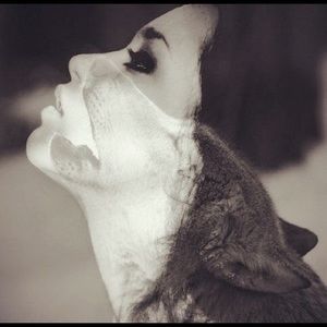 Meet your Posher, Cheyenne