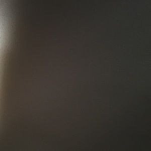 Meet your Posher, Rose