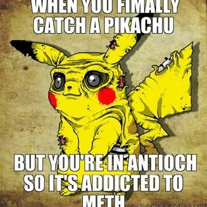 Meet your Posher, Alisha