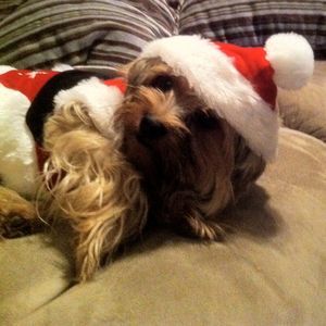 Meet your Posher, Becky