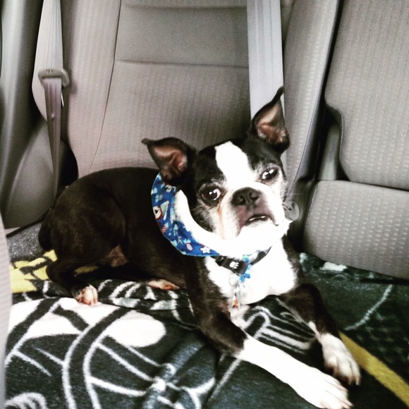 Meet your Posher, Mari - Picture 2 of 2