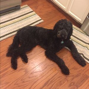 Meet your Posher, Leigh