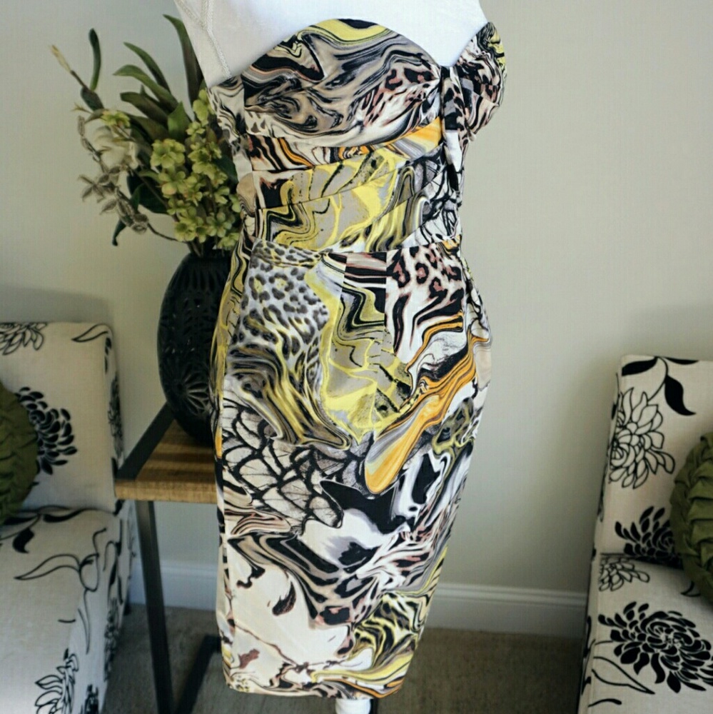 Anthropologie LIEFFSDOTTIR Panther's Play Dress