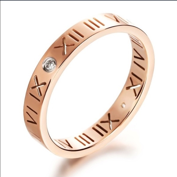 Stainless Steel Rose Gold tone band