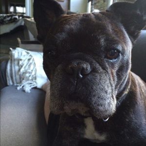 Meet your Posher, Colleen