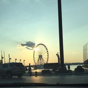 Meet your Posher, Sadie