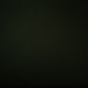 Meet your Posher, Mimi