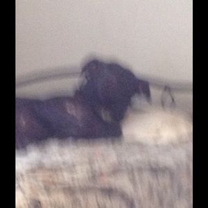 Meet your Posher, Toni