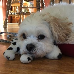 Meet your Posher, Sami