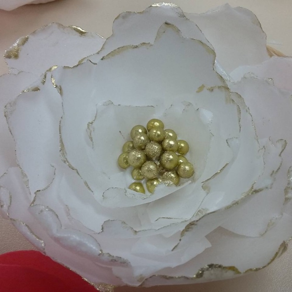 Meet your Posher, Yolanda