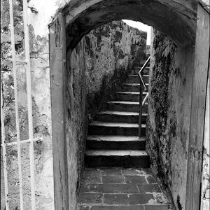 Meet your Posher, Emilie